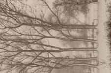 Brigitte VALENTIN - Chez Brigitte