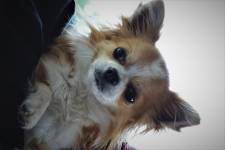 Brigitte VALENTIN - Chez Brigitte