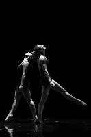 Nicolas DACHE - NICOLAS DACHE PHOTOGRAPHE