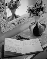 David AMADIEU - AMADIEU DAVID