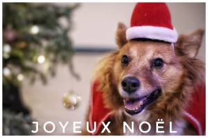 Laëtitia FUCHS - LYON EYE'S PHOTOGRAPHY